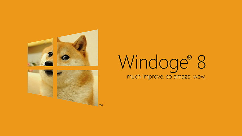 doge windows background