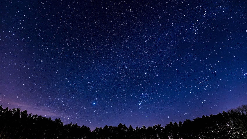 Nightsky, Panoramic Forest HD wallpaper