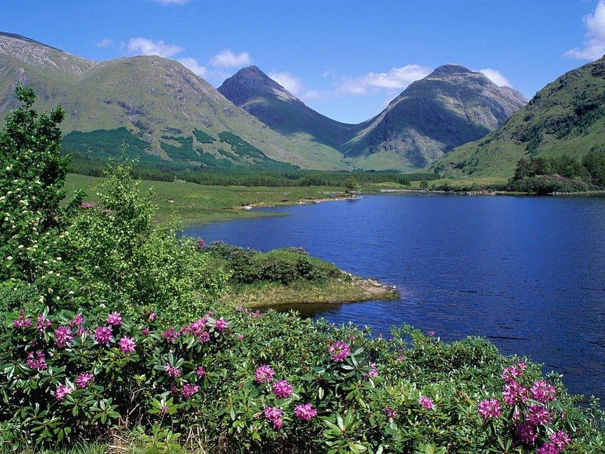 Glen Etive, paisajes, verde, flores, Escocia, montañas, lago fondo de pantalla