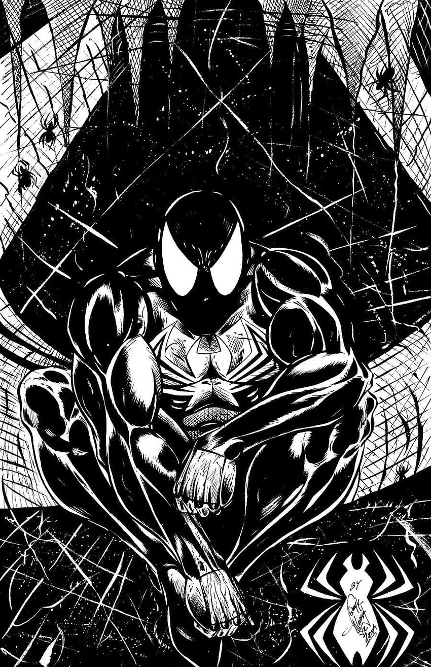 Spiderman Black Suit -, Black and White Spider-Man HD phone wallpaper