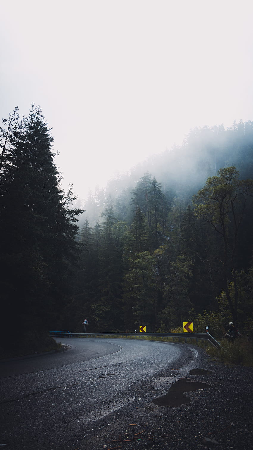 Natura, alberi, strada, svolta, foresta, nebbia, asfalto Sfondo del telefono HD