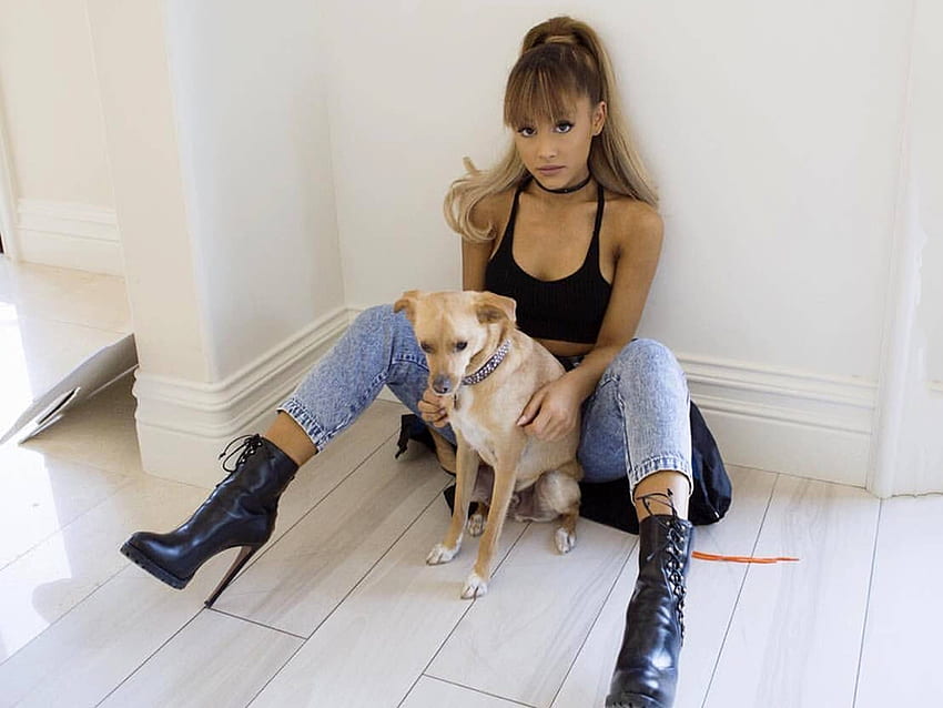 Ariana Grande, Hund, Model, heiß, , Sängerin, schön, Schauspielerin, Jeans, Ariana, Grande, 2017, Stiefel HD-Hintergrundbild