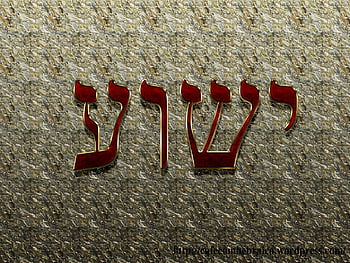 Wallpaper Holiday Shalom hebrew design with David star - jewish greeting -  PIXERS.UK