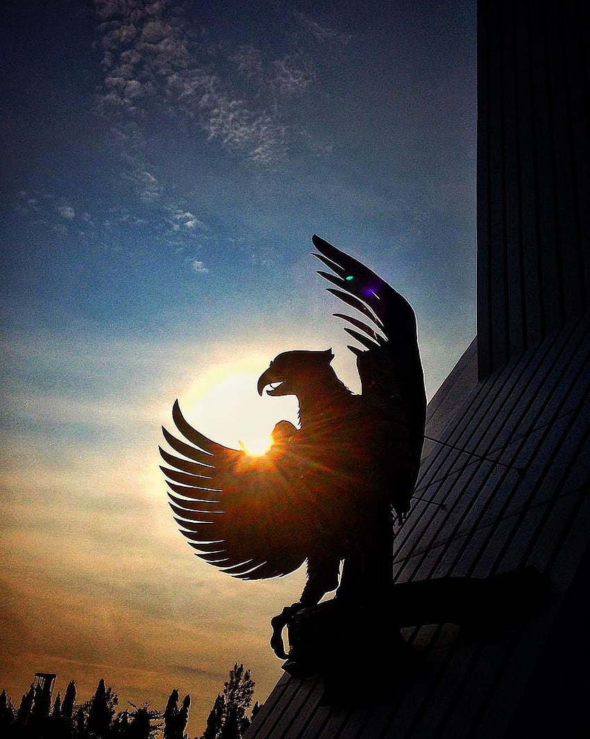 Garuda Pancasila, symbole national de l'Indonésie. Fond d'écran de téléphone HD