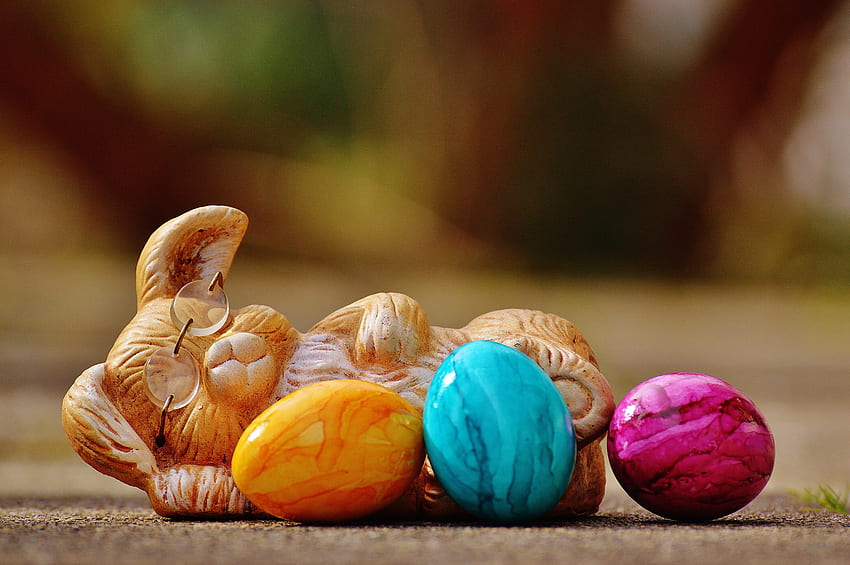 Празници, Яйца, Великден, Великденски заек HD тапет
