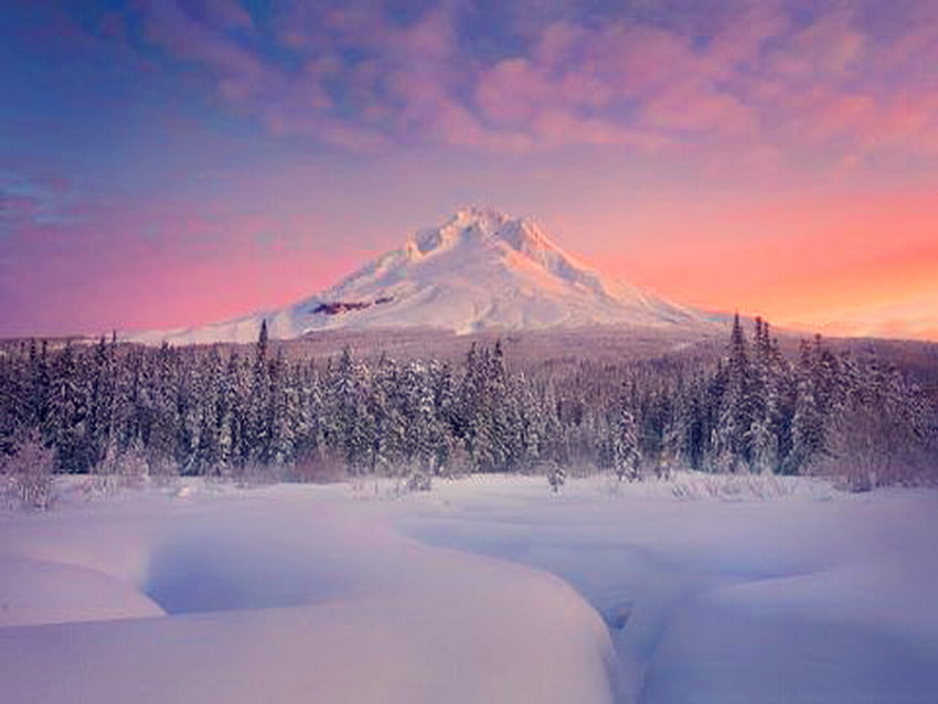 Montaña de invierno, invierno, cielo rosa y azul, nieve, nubes, árboles, montaña. fondo de pantalla