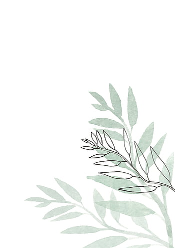 Plant illustration HD wallpapers | Pxfuel