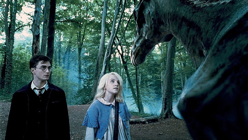 Harry Potter' Cast Members Have Been Hanging Out In the Forbidden Forest. Teen Vogue HD wallpaper
