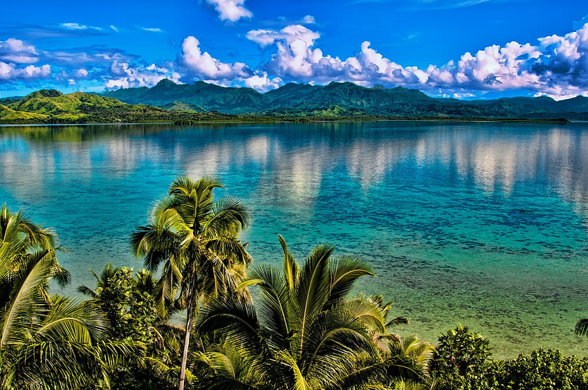 Vanua Levu, 피지, 섬, 바다, 손바닥, 크리스탈, 열대, 이국적인, 만, 낙원, 아름다운, 여름, 반사, 하늘, 물, 대양 HD 월페이퍼