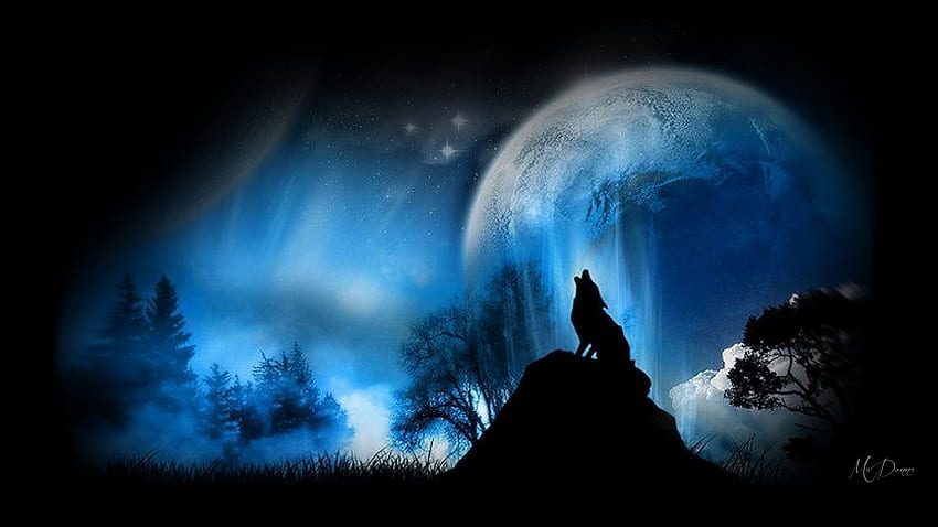 Wolf New Moon, biru, bulan purnama, loup, lobo, menghantui, mistis, serigala, tema Firefox, melolong, pohon, langit, hutan Wallpaper HD