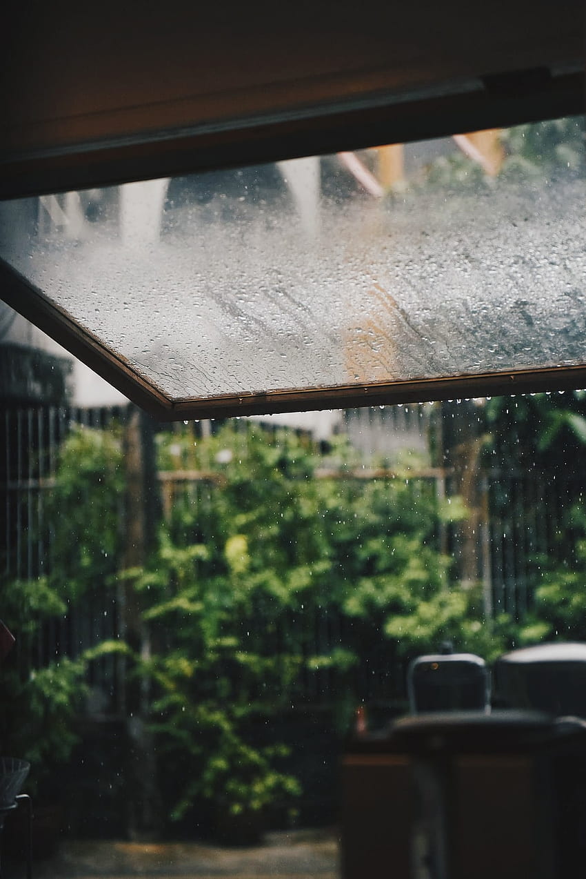 clear glass window with tear drop rain – Rain, Rain On Window HD phone wallpaper