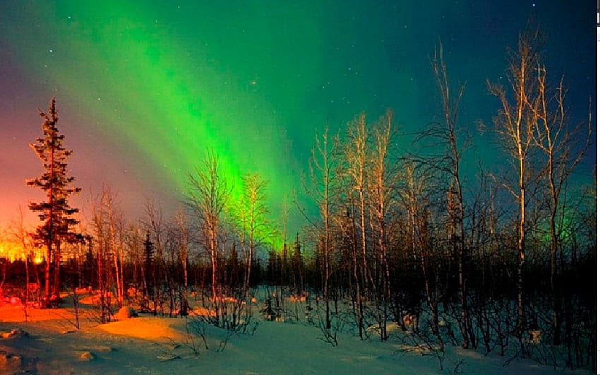Aurora Lights, north, magic, aurora, light HD wallpaper