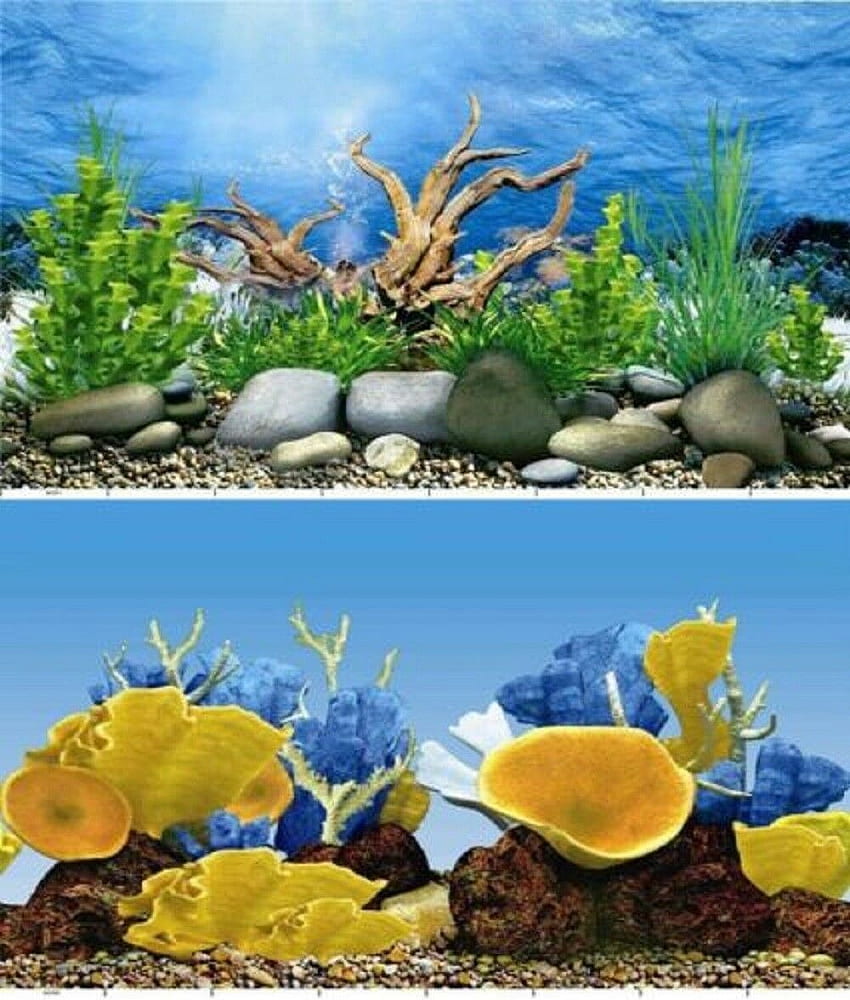 Fish Live Wallpaper 3D Aquarium Background HD PRO v1.7