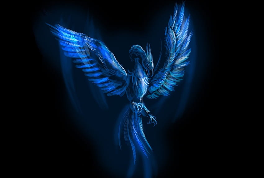 Blue Phoenix, blue, phoenix, anstract, bird HD wallpaper