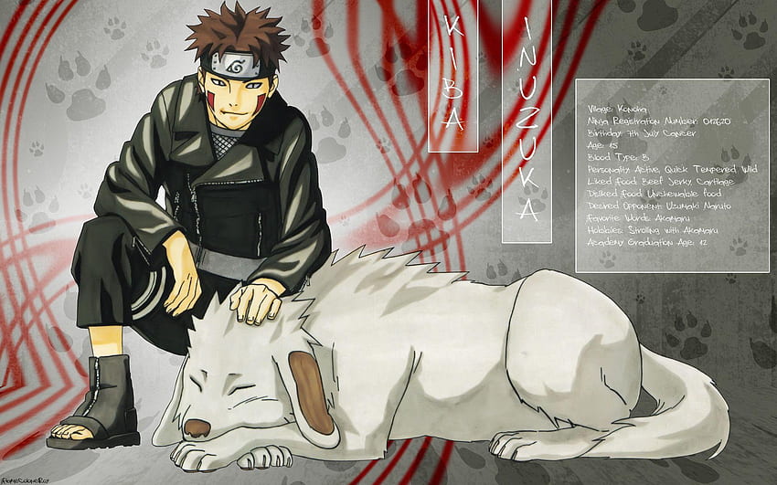 Kiba And Akamaru HD wallpaper | Pxfuel