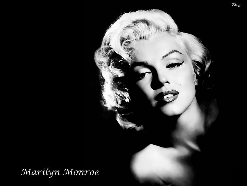 Marilyn Monroe Background. Marilyn Monroe , Marilyn Monroe Day of the Dead and Marilyn Monroe Dope HD wallpaper