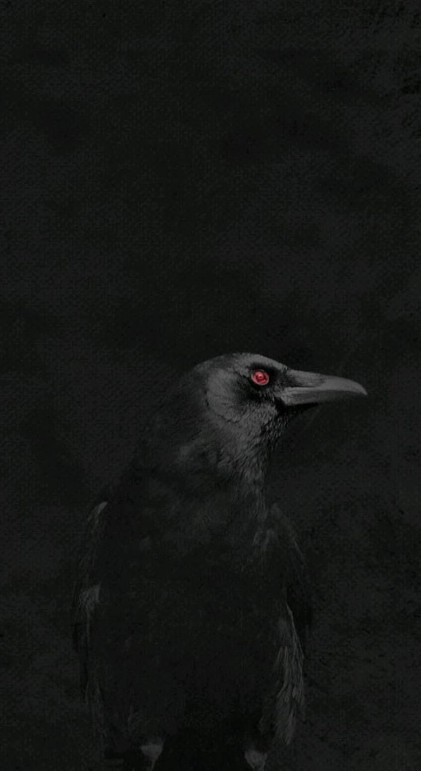 Itachi Crow HD phone wallpaper