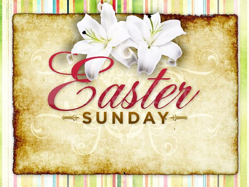 Blessed Easter SunDay, god, sunday, resureccion, jesus, easter, lilies, blessed HD wallpaper