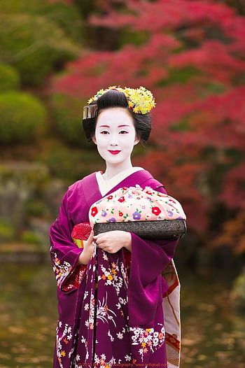 Book an exclusive private dinner with a maiko in Kyoto, Kyoto Geisha HD ...