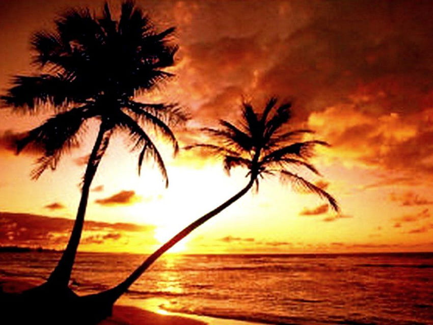 Island Paradise Sunset HD wallpaper | Pxfuel