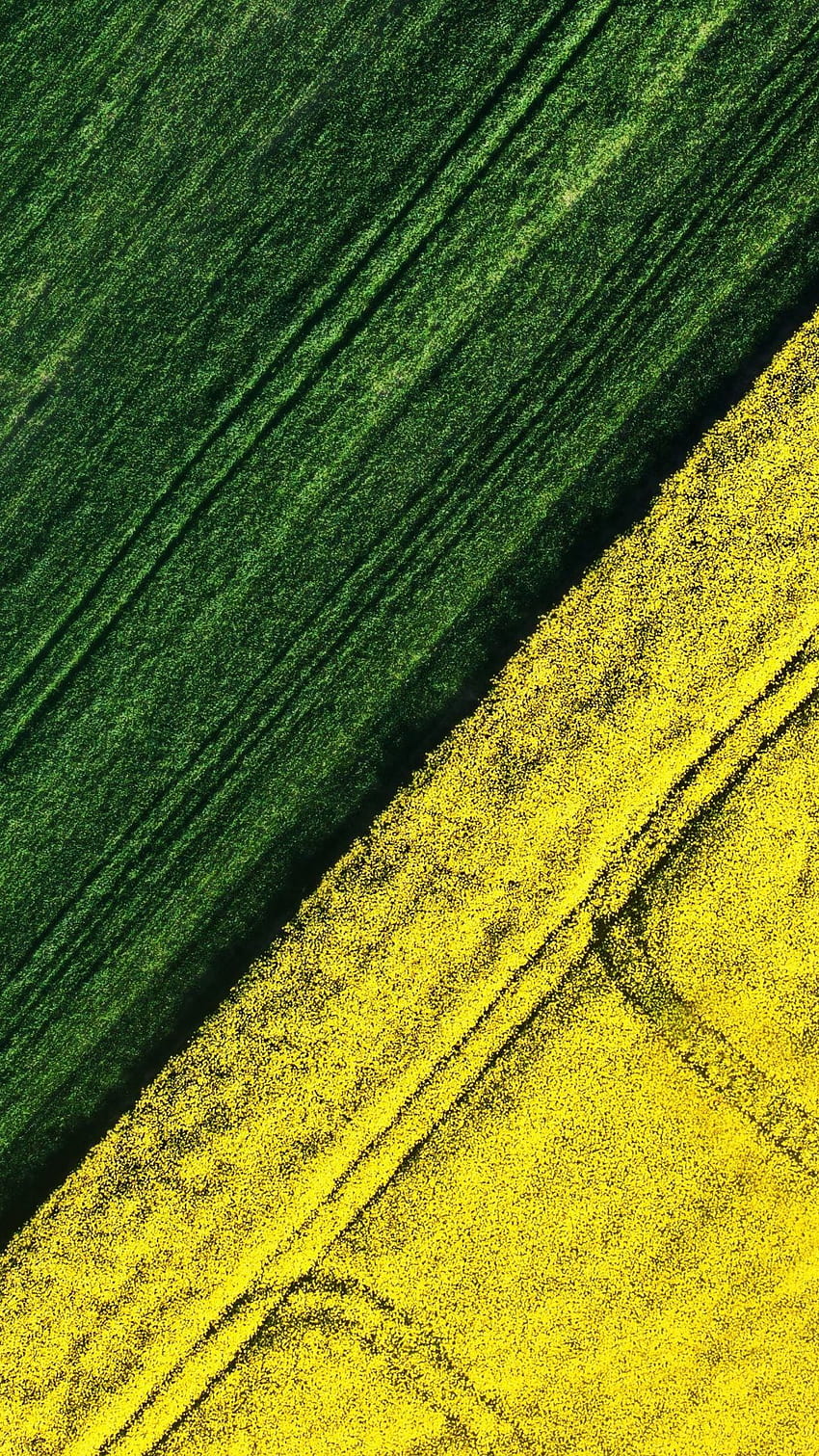 Farms, aerial view, landscape, green and yellow HD phone wallpaper