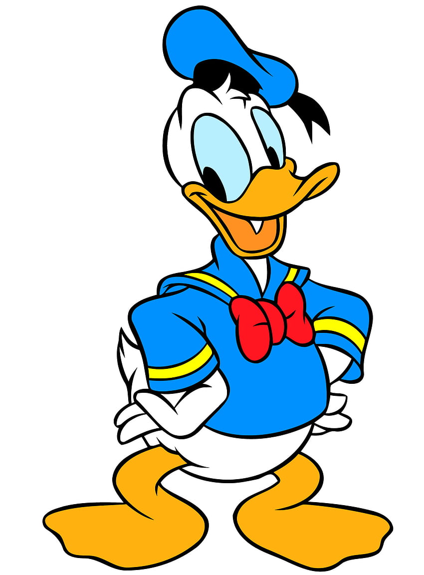 Fq Kaczor Donald, wysoka jakość, Qg - Kaczor Donald w kolorze -, Fajny Kaczor Donald Tapeta na telefon HD
