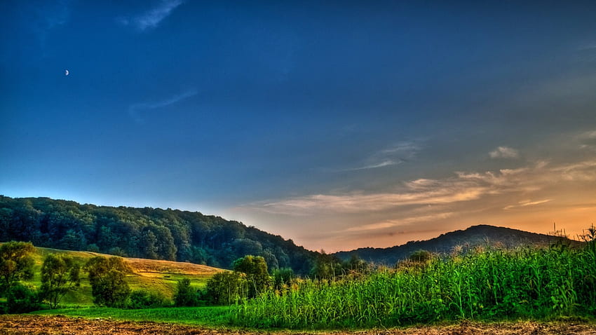 moon over cornfield, hills, moon, fields, dusk, forest HD wallpaper