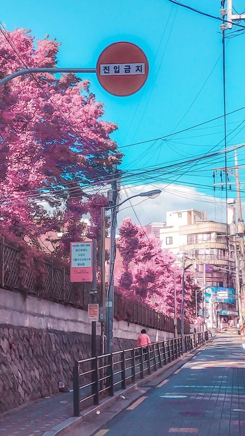 Rocket Languages ​​Korea City esthétique Corée esthétique [] pour votre , Mobile & Tablet. Explorez Anime City Spring. Ville, fond de ville, ville, PC coréen Fond d'écran de téléphone HD
