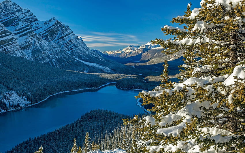 Peyto Lake, Banff NP, Alberta, winter, snow, trees, clouds, landscape ...