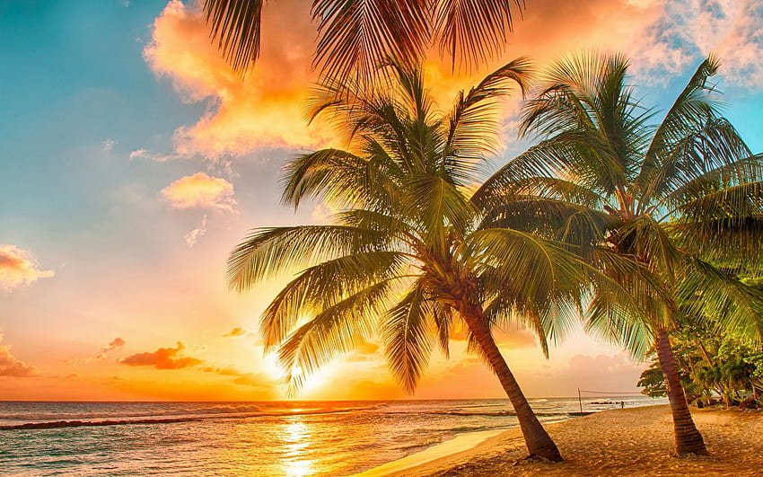 Sinar Matahari Pagi yang Indah, Pantai Sinar Matahari Wallpaper HD