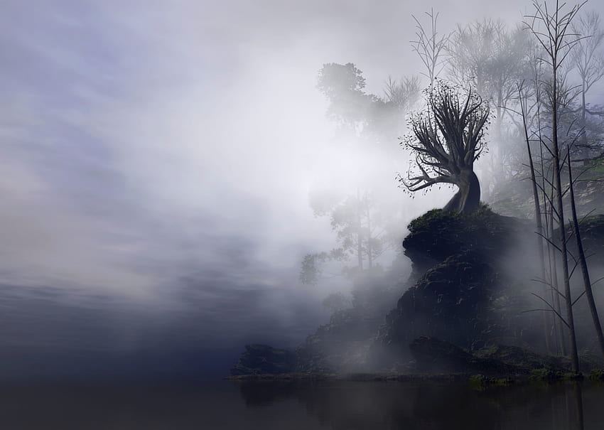 Nature, Art, Rock, Wood, Tree, Fog, Branches, Break, Precipice, Gloomy HD wallpaper