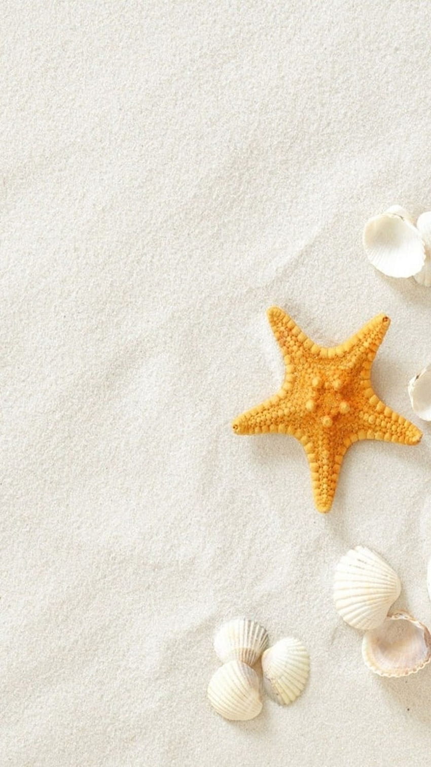 Pure Seaside Beach Starfish Seashell iPhone 8 HD phone wallpaper