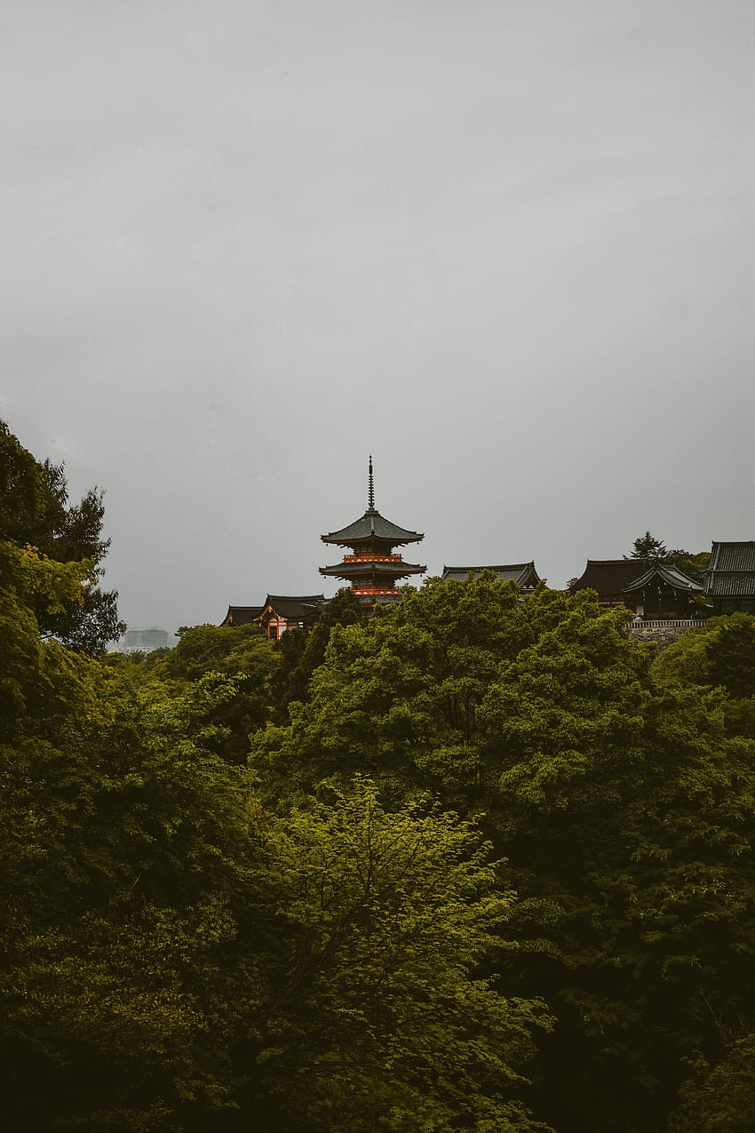 Natura, drzewa, architektura, pagoda, Japonia, prefektura Kioto, jestem kucykiem Tapeta na telefon HD