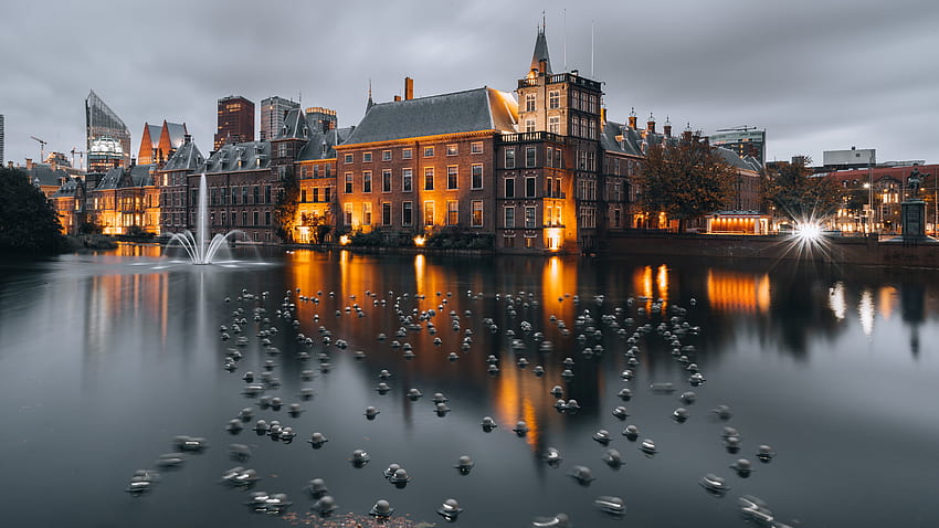 The Hague Netherlands Dutch's-Gravenhag Reflection On Water Nature HD wallpaper