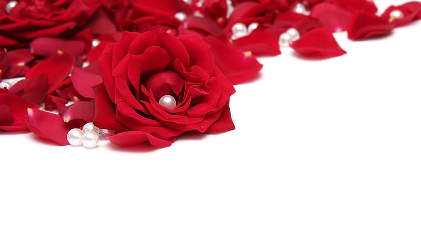 rose, beads, red, white tablet, laptop background, Red White Flower HD wallpaper