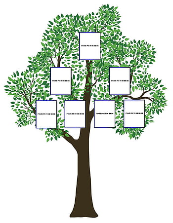 family tree names tree wall decal - TenStickers