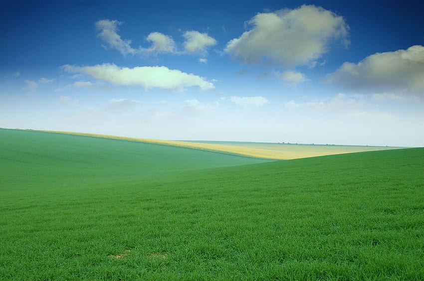 Grünes Feld. Green Field-Lager HD-Hintergrundbild