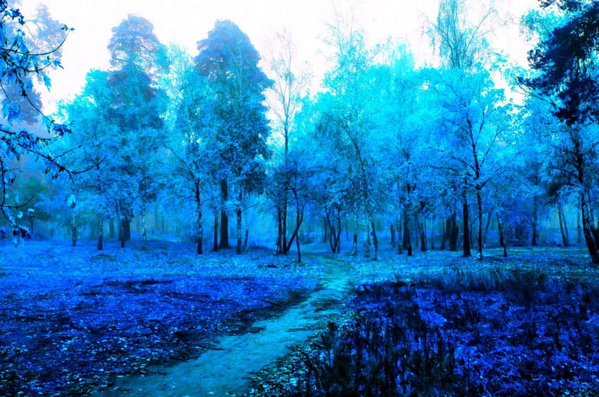 Blue world, blue, trees, nature, path HD wallpaper