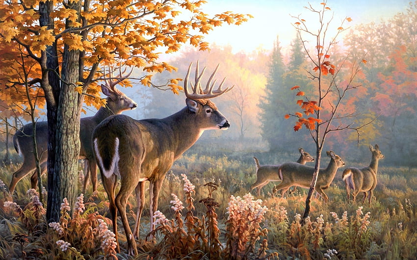•ღ✿ღ•, animal, deer, fall, autumn, nature HD wallpaper
