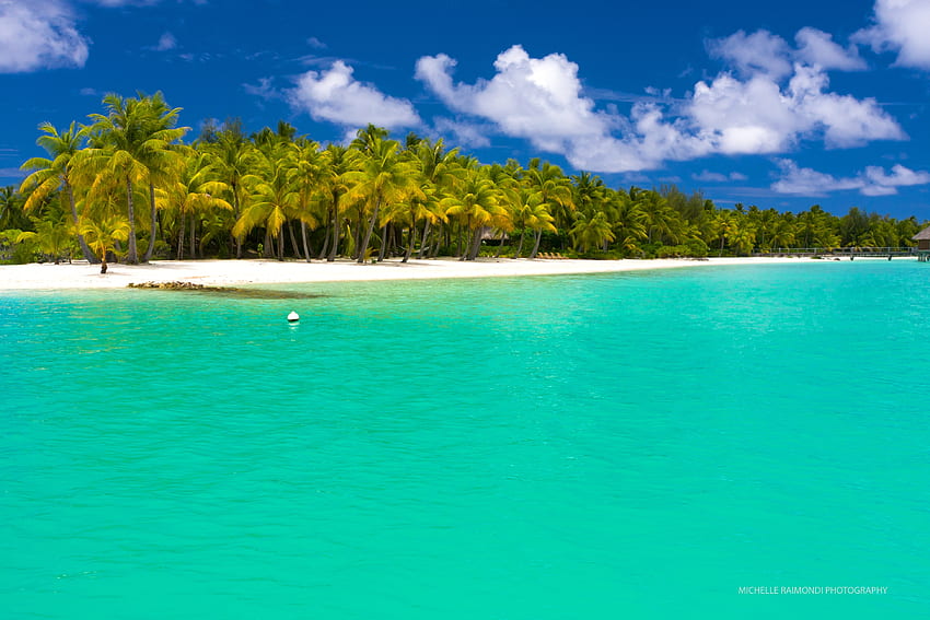 przyroda, plaża, palmy, lato, tropiki, malediwy Tapeta HD