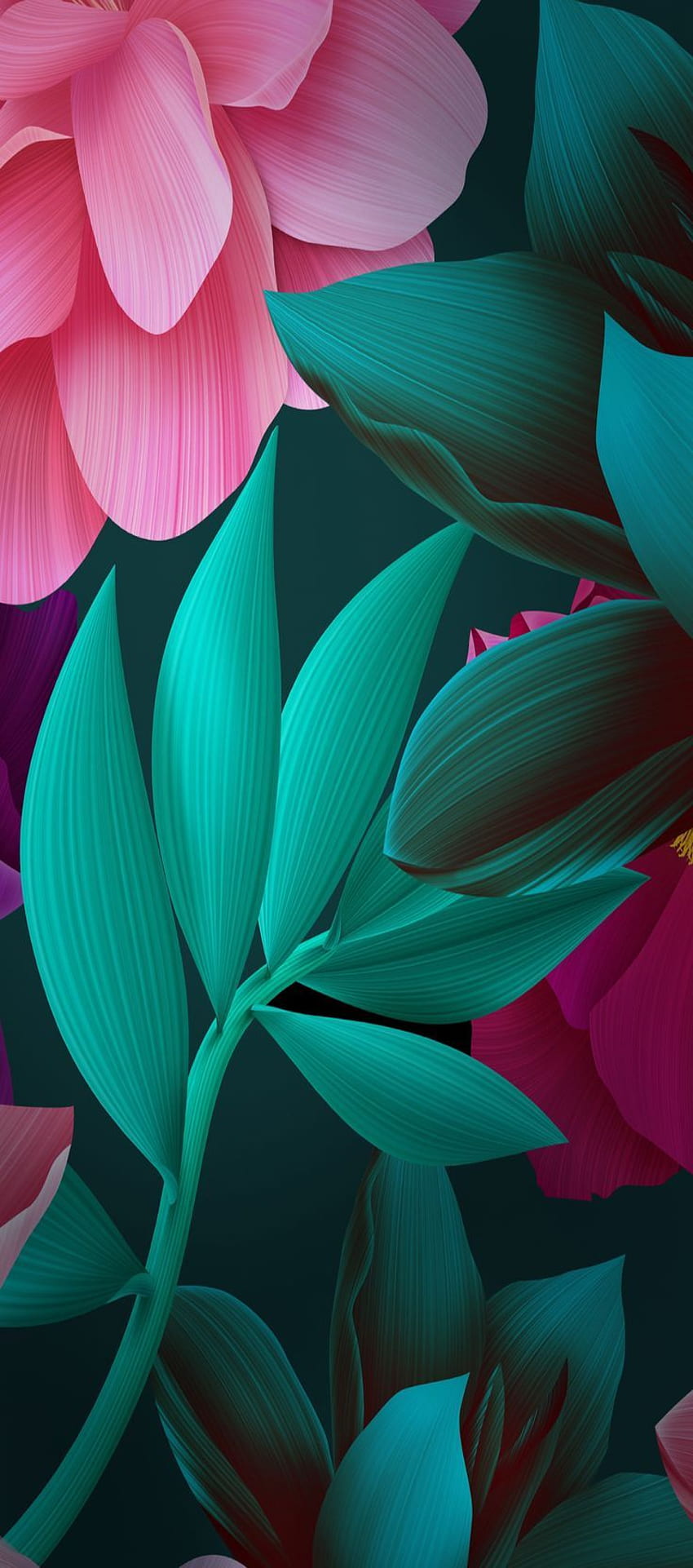 iOS 11, iPhone X, hijau, hitam, merah muda, bunga, tumbuhan, sederhana, abstrak, apel,, iphone 8, bersih, indah. Цветочные фоны, Абстрактное, Bunga Abstrak Hitam dan Merah Muda wallpaper ponsel HD
