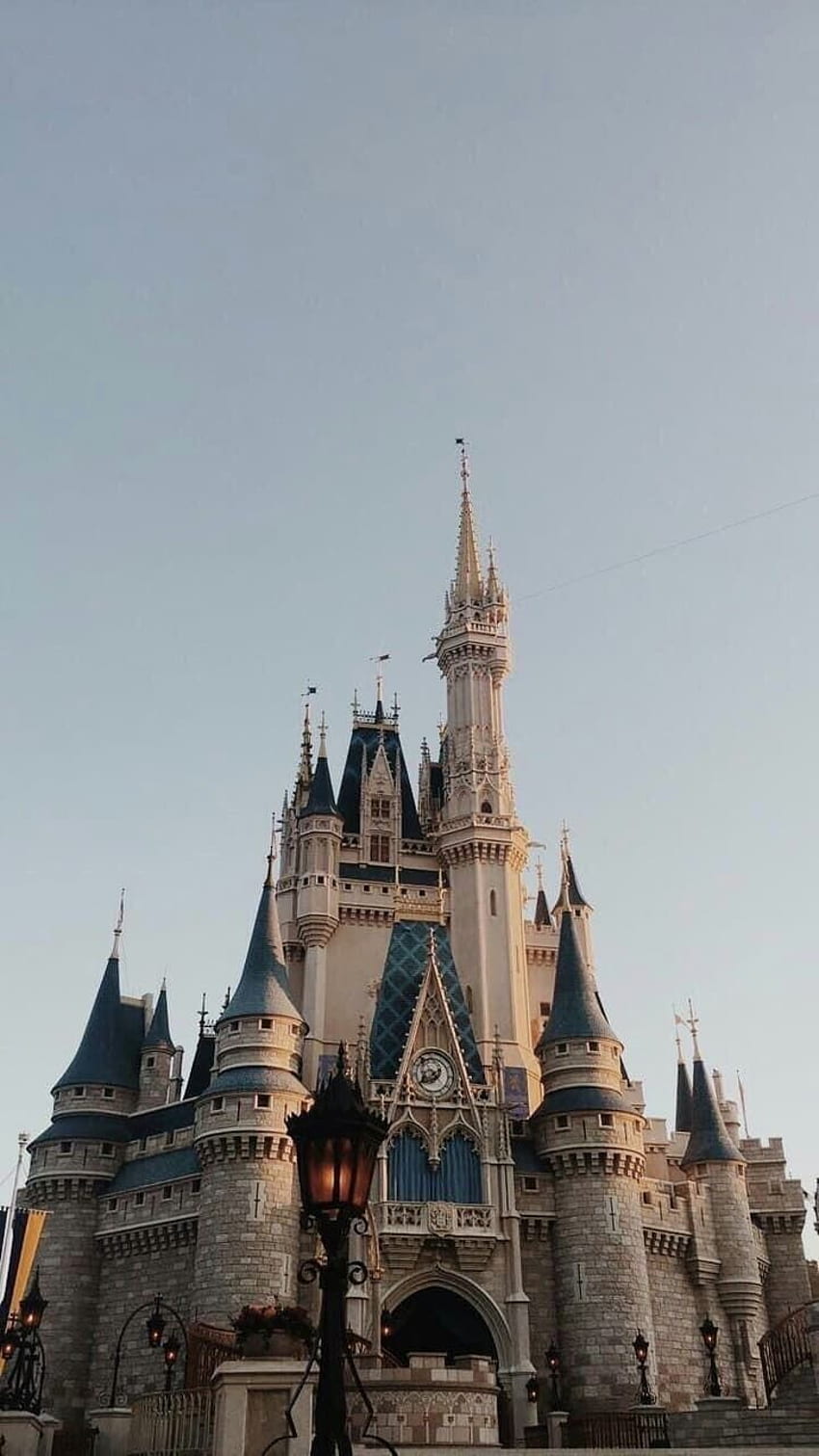 zamek w 2020 roku. Disneyland, iphone disney, Disney, Castle Aesthetic Tapeta na telefon HD