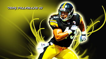 Troy Polamalu Retires: Brian Dawkins was better - Bleeding Green Nation