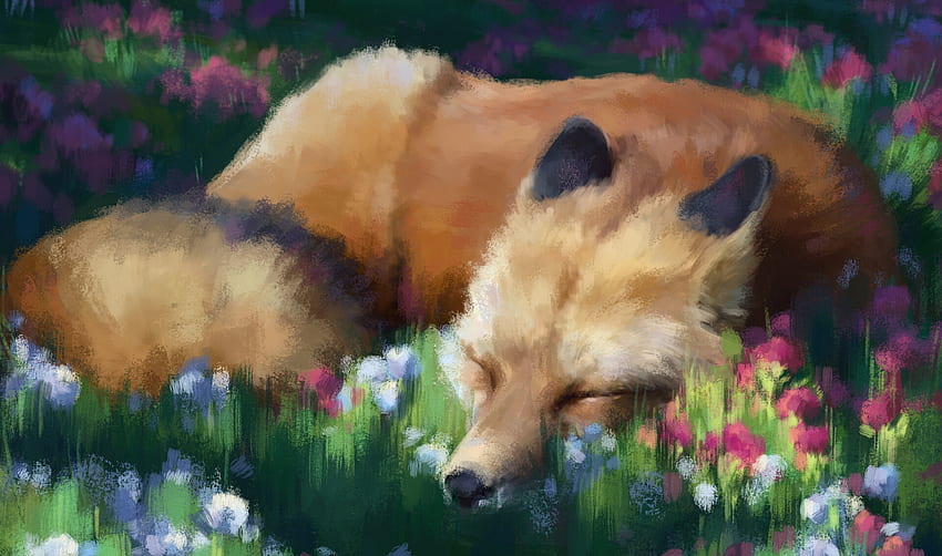 Sleeping fox, summer, art, flower, natalie, vulpe, fox, vara, sleep HD wallpaper