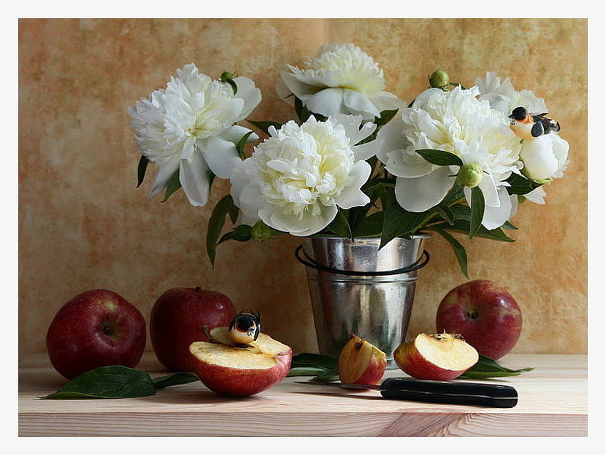 lukisan alam benda, putih, buket, burung, graphy, peony, cantik, bagus, bunga, merah, keren, buah, ember, apel, bunga Wallpaper HD