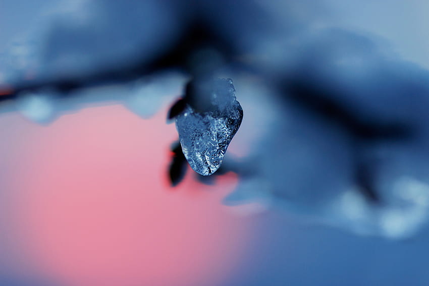 Ice, Snow, Macro, Blur, Smooth, Branch HD wallpaper