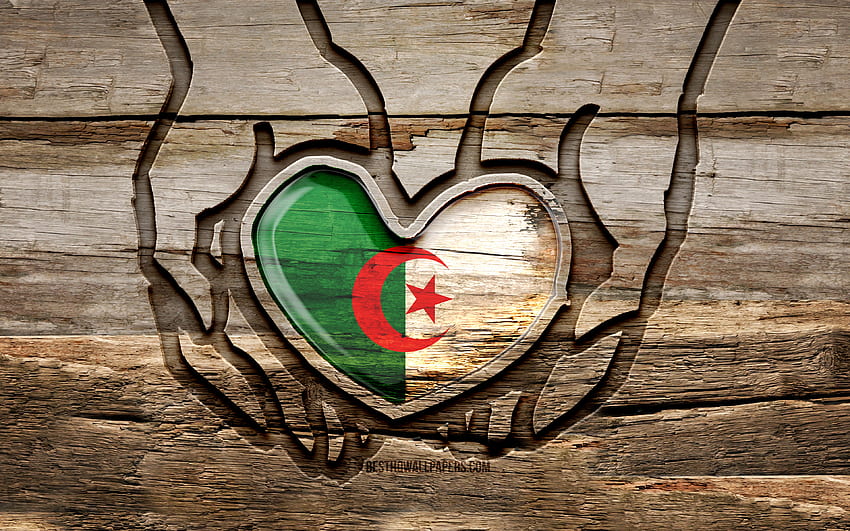 Amo l'Algeria, , mani intagliate in legno, Giorno dell'Algeria, bandiera algerina, Bandiera dell'Algeria, Prenditi cura dell'Algeria, creativo, Bandiera dell'Algeria, Bandiera dell'Algeria in mano, intaglio del legno, paesi africani, Algeria Sfondo HD