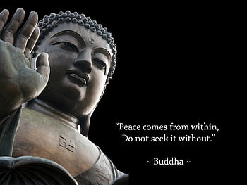 Buddhist Monk Quotes. QuotesGram HD wallpaper | Pxfuel