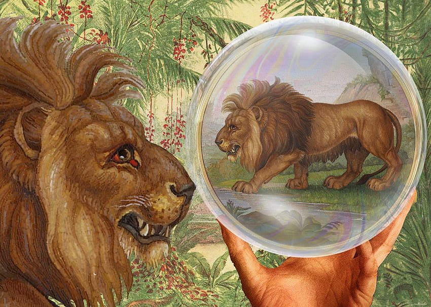 What's all the lion about?, leu, art, vikki truver, funny, bubble, fantast, lion, crystal ball HD wallpaper