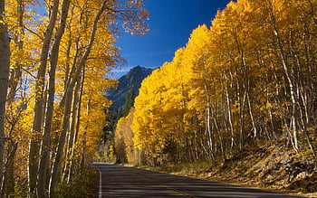 Landscape, Roads, Autumn HD wallpaper | Pxfuel